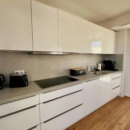 公寓 Penthouse Rhein-main *