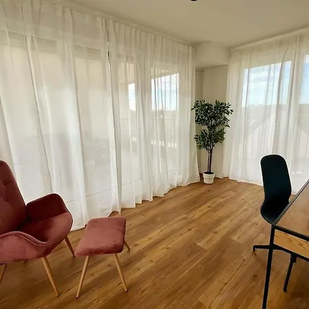 Penthouse Rhein-main 公寓